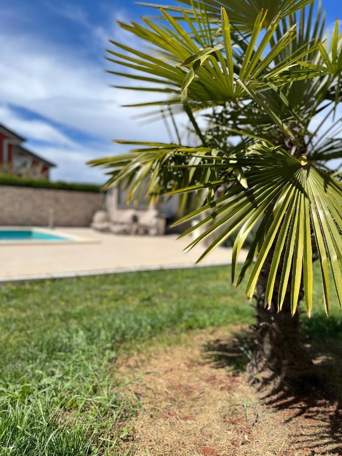 Apartments Vukancic Novigrad  ภายนอก รูปภาพ