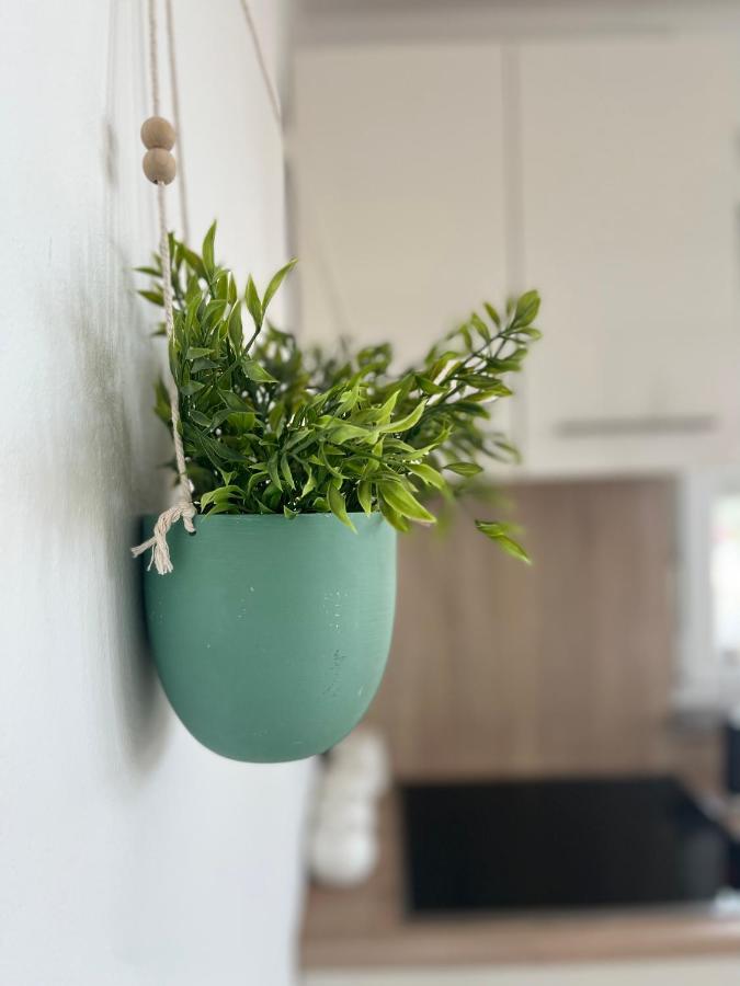 Apartments Vukancic Novigrad  ภายนอก รูปภาพ
